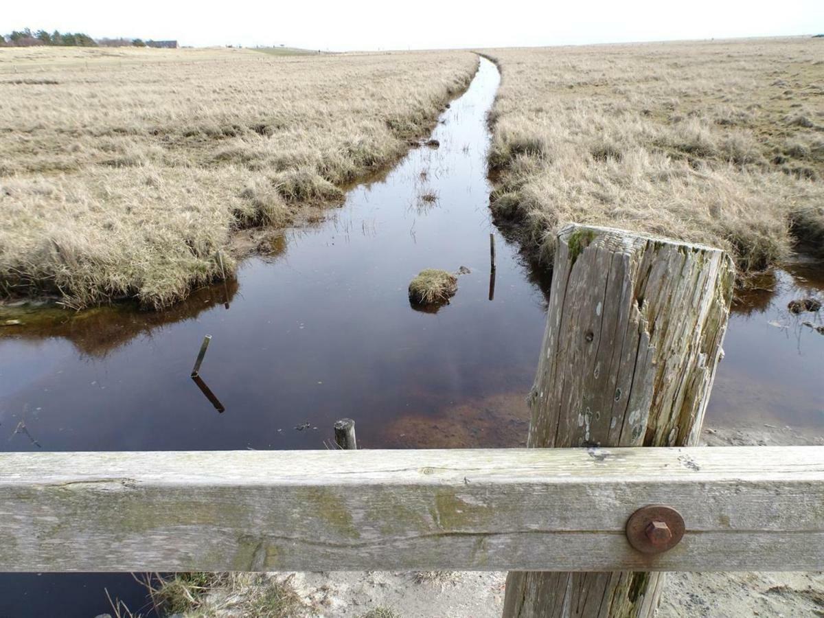 Dietrichs Wentzelhof Sankt Peter-Ording Eksteriør bilde