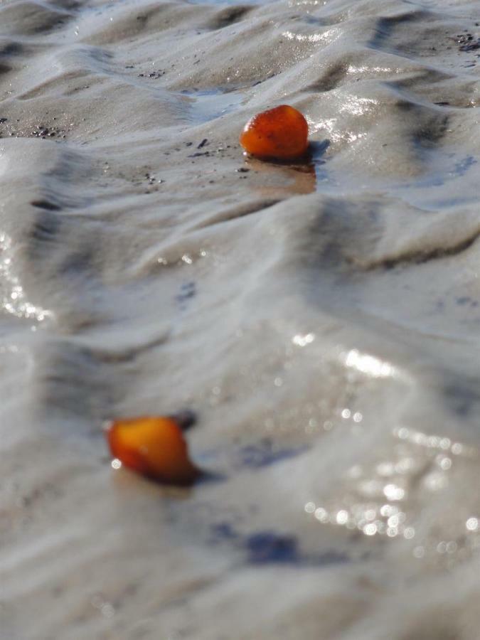 Dietrichs Wentzelhof Sankt Peter-Ording Eksteriør bilde